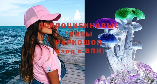 ПСИЛОЦИБИНОВЫЕ ГРИБЫ Абдулино