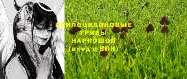 ПСИЛОЦИБИНОВЫЕ ГРИБЫ Абдулино