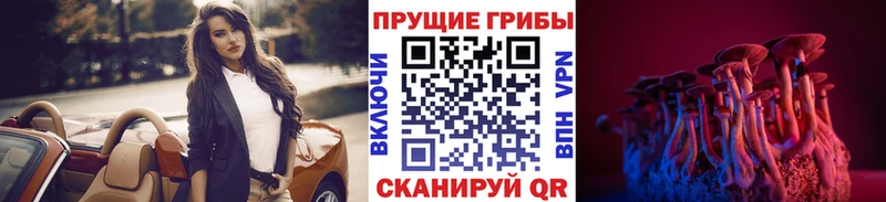 где продают наркотики blacksprut ССЫЛКА Галлюциногенные грибы GOLDEN TEACHER Чегем